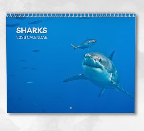 Hai Kalender 2026 Monatlicher Wandkalender mit Notizen, hängend A4, inklusive Schlüsseldaten & Feiertagen