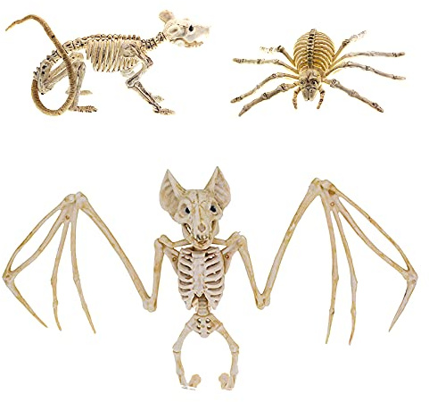 GLAITC 3 pièces Halloween Chauve-Souris Squelette Halloween araignée Squelette Halloween Souris Squelette Effrayant os d'animaux réaliste os de Chauve-Souris décorations d'halloween