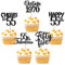 30PCS Happy 55th Birthday Cupcake Toppers Glitter Fifty Five Vintage 1969 Cupcake Picks 55 Fabulous Cheers to 55 Years Cake Decorations for 55th Birthday Anniversary Party Supplies Black