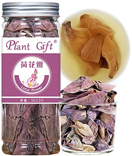 Plant Gift Pétales de fleur de lotus 30 g Thé en vrac Heye, thé revitalisant, 100 % pur naturel, durable, sans additifs, thé chinois