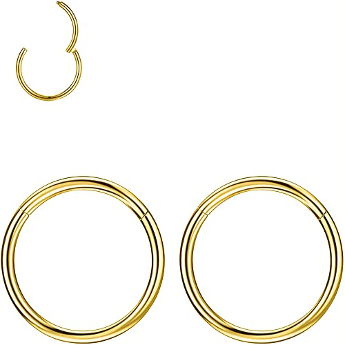 PunkTracker 2Pcs 20G 18G 16G 6/7/8/9/10mm Rings for Cartilage Tragus Helix Hoop Earrings Stainless Steel Nose Rings Nose Piercings Helix Conch Septum Jewellery - Silver/Gold/Rose Gold