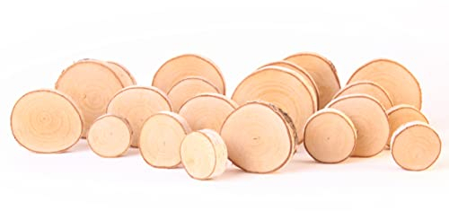 Holzscheiben rund Ø 3-8cm Baumscheiben aus Birkenholz Naturholz unbehandelt mit Rinde, Holzscheiben zum Basteln (20 Stk.)