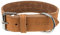 TRIXIE Rustic Fettleder-Halsband - Größe M - Halsumfang 38 - 47 cm - kehlkopfschonender D-Ring - braun - 19015