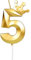 Yiran Gold 5th Birthday Candles with Crown, 3inch Giant Number 5 Candle, 5th Birthday Candle for Cake,Happy Birthday Candle, Cake Candles Cake Topper Decorations for Girls Boys Birthday Party Supplies