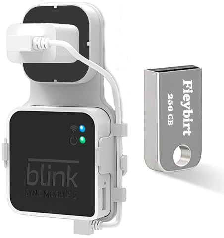 256GB USB Flash Drive & Outlet Mount for Blink Sync Module 2, Space Saving and Easy Move Mount Bracket Holder for Blink Outdoor Indoor Security System (Blink Sync Module 2 is NOT Included)