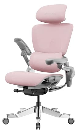 HINOMI H2 Pro Premium Ergonomic Office Chair - Comfy Home Office Desk Computer Chair with Adjustable Back Support, Swivel Wheels, Flip-up Arms, Ultra Soft Mesh Seat for Desk Work
