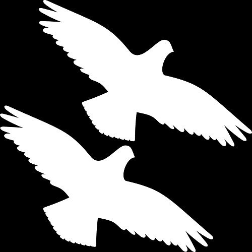 2 Stück 30cm weiß Habicht Greifvogel Vogel Fenster Schutz Warnvogel Warnvögel Aufkleber Tattoo die Cut Deko Folie