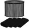 Filtro HEPA di ricambio compatibile con filtro Queen Defender 4000 7500 360, filtro HEPA ad alta efficienza con 4 prefiltri a carbone attivo