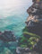 1000 Piece Jigsaw Puzzle for Adults-Relax Puzzles Games-Rocks,sea,tobermory 70x50cm