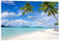 Plage blanche avec palmiers à Tahiti Tableau en verre acrylique de Jan Christopher Becke 60 x 40 cm Turquoise Tableaux Décoration murale