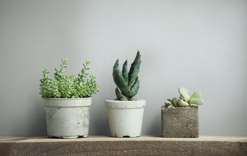 marburg Tapete Grau Blau Uni mit leichter Struktur Uni Modern für Wohnzimmer Schlafzimmer Küche 10,05 x 0,53