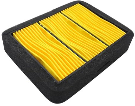 WMENZT Filtro Aria Moto Professionale Sostituisce per B&enelli Leoncino 500