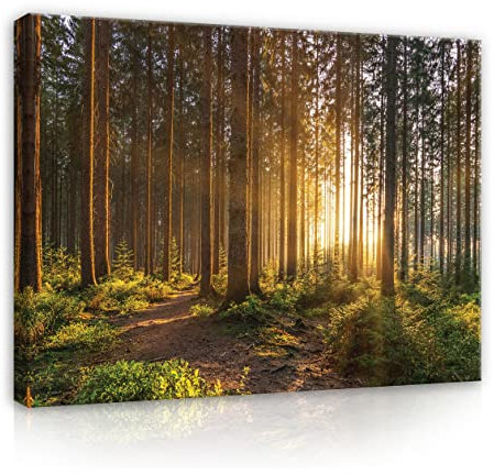 WallArena - Leinwand Bilder - Wald Grün Natur Landschaft - 120x80 cm Leinwandbilder - Bild auf leinwand - Wandbild XXL groß Wandbilder für Wohnzimmer Schlafzimmer Wohnzimmerbilder Modern