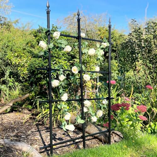 GardenSkill Garden Trellis for Climbing Plants | Metal Rose Fence Free Standing Screen for Borders Edging Plant Support Flower Clematis Vines | Rust-Proof Easy Build Panel (Black, 90x180cm High)