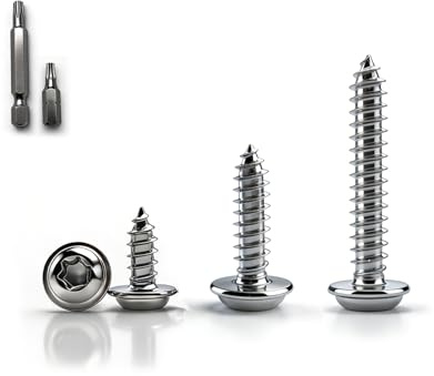 NZNSML 100 Stück Tellerkopfschrauben M4 x 10 mm Linsenkopfschrauben Torx | Flachkopfschrauben Holz Blechschrauben Torx Edelstahl Selbstschneidende Schrauben Vollgewinde mit Schraubendreher Bit