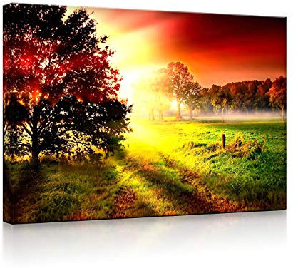 lightbox multicolor | Beleuchtete Bilder | Sonnenuntergang an nebliger Lichtung | 100x70 cm | Fully Lighted