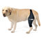 Ortocanis - Kniebandage Hund Hinterbein für das rechte Bein - Hergestellt aus Neopren ARD - Bei Kreuzbandriss, Bänderverletzungen, Patellaluxation oder Osteoarthritis - Größe Medium (11,5-12,2)