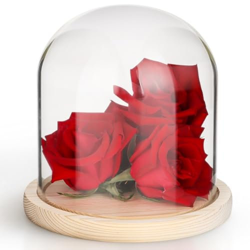 Dôme en verre transparent avec support en bois, cloche décorative pour plantes, figurines et bougies – 15,2 x 12,7 cm