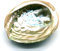 CRIGEMA – Coquille d'ormeau - Sélectionné à la main dans la couleur nacrée - Qualité supérieure de Californie - Coque pour Smudging et décoration maison (8-10 CM)