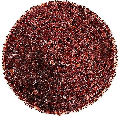 Deco Woerner Feder-Wandschmuck Wanddeko Feder-Deko Federschmuck Juju Hat 30cmØ braun rotbraun