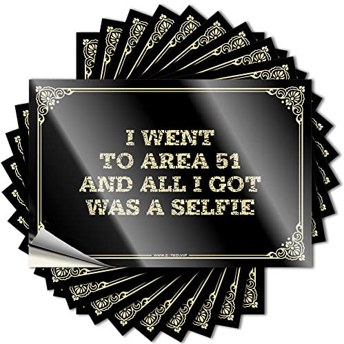 Autoaufkleber I Went to Area 51 and All I Got was A Selfie, Hardhat-Sticker und Aufkleber, lustige Sogns, 8 x 12 cm