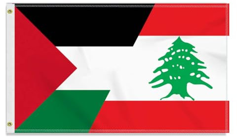 Grande bandiera Palestina Libano, 90 × 150 cm, grande striscione dell'amicizia Palestina Libano 150D, resistente, stampa laterale Doube, occhielli in ottone, grande lebanon