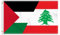 Grande bandiera Palestina Libano, 90 × 150 cm, grande striscione dell'amicizia Palestina Libano 150D, resistente, stampa laterale Doube, occhielli in ottone, grande lebanon