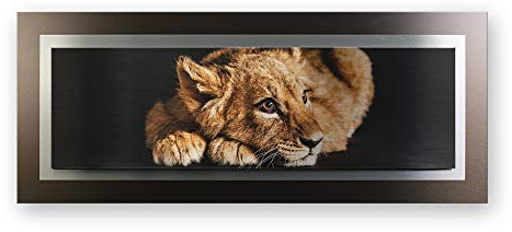 Kreative Feder 3D Metallic-Wandbild aus gebürstetem Alu-Verbund | Kleiner Löwe | modernes Designer Bild in XXL | 100 x 40 cm