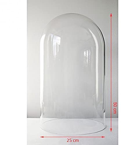 EMH Grande cloche en verre soufflé à la bouche Transparent 50 x 25 cm