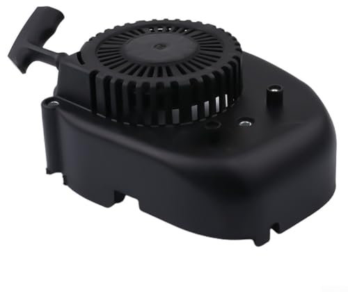 CNANRNANC Gruppo di avviamento per Rover, per Loncin per Parklander per Falciatrice Alko Parte di ricambio L193490248 193490094