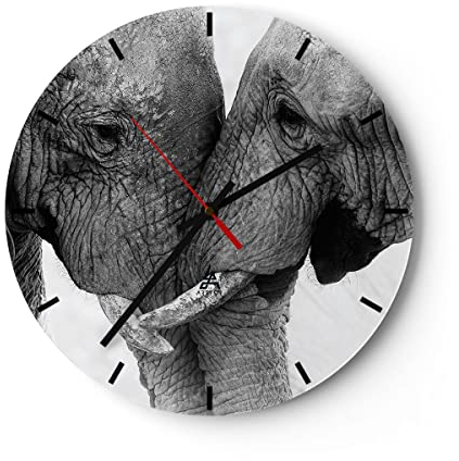 Modern Wanduhr Elefanten Safari Bond 40x40cm Rund Groß Wand Uhr Glas Analog Zimmeruhren Küche Büro Wohnzimmer Glasuhr Wall Clock Dekoration Design Wanddekoration Küchenuhr C3AR40x40-4973