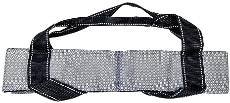 Acclaim Austin Ladies Classic Four Bowls Ripstop Nylon Carrier Designed to Fit Up to Size 2 Bowls for Indoor & Outdoor Bowling (Silver)