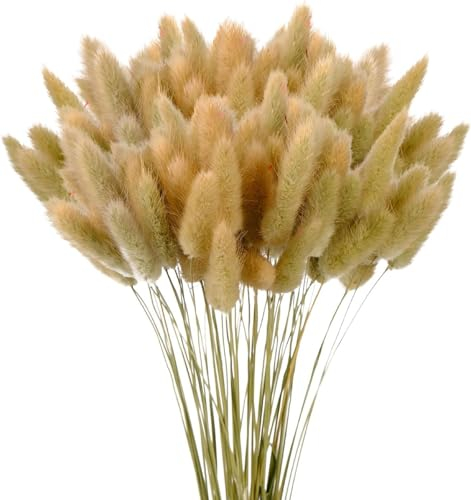 120 Stück Getrocknetes Pampasgras, Lagurus Getrocknet, Natürlicher Blumenstrauß, Bodenvase Deko, Künstlich Groß