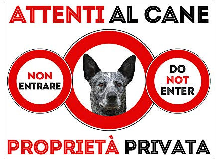 SNOGGHY Targa Cartello ATTENTI al Cane - Australian Stumpy (30 X 20 CM)