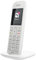 Telekom Speedphone 11 (mit DECT Basis und Anrufbeantworter - wahlweise nutzbar am IP Anschluss oder am analogen a/b Port) weiß