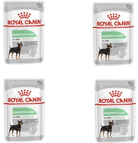 Royal Canin Digestive Care | 4er Pack | 4 x 12 x 85 g | Nassfutter für ausgewachsene Hunde | Ab dem 10. Lebensmonat | Für Hunde mit empfindlicher Verdauung geeignet