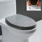 Glitzer Toilettensitz, WC Sitz Mit Absenkautomatik, Toilettendeckel Aus Harz, Stable Klodeckel Hochwertige Qualität Toilettenbrille, Antibakteriell Oval,Silber