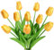 JUSTOYOU 10 STK PU Real Touch Latex Künstliche Tulpen Gefälschte Tulpen Blumen Blumensträuße Blumen Arrangement für Home Room Hochzeitsstrauß Party Herzstück Dekor(golden)
