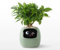 Générique Pot de Fleurs Intelligent, Jardinière Intelligente pour des Plantes Amusantes et connectées (Vert)
