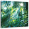 Feeby Bild auf Leinwand Palmen Dschungel Natur Kokosnuss 40x40 cm Kunstdruck modern Monstera Blätter Pflanzen Grün