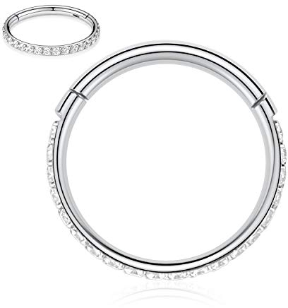 hengkaixuan 18G Septum Clicker Ring Daith Ohrringe Conch Schmuck Nahtloser Clicker Ring Chirurgenstahl Rook Tragus Conch Piercing Schmuck Kleiner Hoop Ohrring Nasenring Silber 14mm Klar CZ