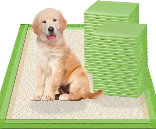 Gardner Pet Welpenunterlagen, 56x56cm PIPI Matten für Hunde, Super Saugfähige Welpen Unterlagen, 6-lagige Auslaufsicher Trainingspads für Hunde, Schnelle Trocknung Hunde PIPI Unterlagen, 50 Stück