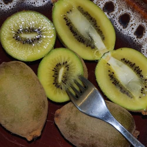 Plant World Seeds - Kiwi Fruit Golden Seeds (Exotic Fruit Seeds)