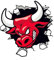 AeRko Adesivo in PVC con personalità Red Angry Bull impermeabile per auto su moto laptop accessori decorativi (dimensioni: 2 pezzi)