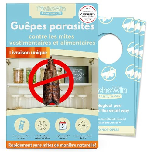 Vespe contro le tarme alimentari e vestiti – più efficace delle trappole per tarme alimentari – protezione alternativa alla trappola per tarme & spray per tarme, prodotto in AT (7 pezzi)