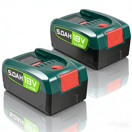 18V 5.0Ah Ersatzakku Kompatibel mit Bosch PBA PSB PSR Home & Garden | 5000mAh Lithium Akku für Gloria Akku Werkzeuge, Hochkapazität Ersatzbatterie für Bosch 18V Elektrowerkzeuge（2er Pack）