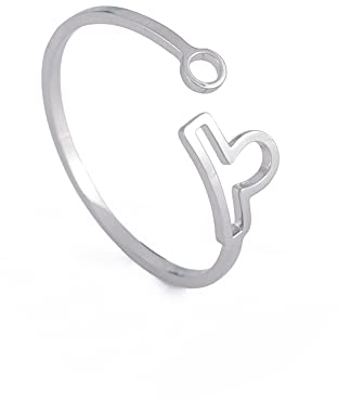 Dreamtimes Edelstahl Sternzeichen Ringe für Frauen 12 Sternzeichen Offener Ring Widder Löwe Jungfrau Zwillinge Waage Fische Skorpion Geburtstagsgeschenk (Bücher)