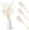 180 Stück Hasenschwanz Trockenblumen, Getrocknete Pampasgras, Ewige Kaninchenschwanzgras, Getrocknete Blumen, Schilfgras Blumenstrauß für Vase, Blumenarrangements, Hochzeit, Boho Zuhause Dekoration