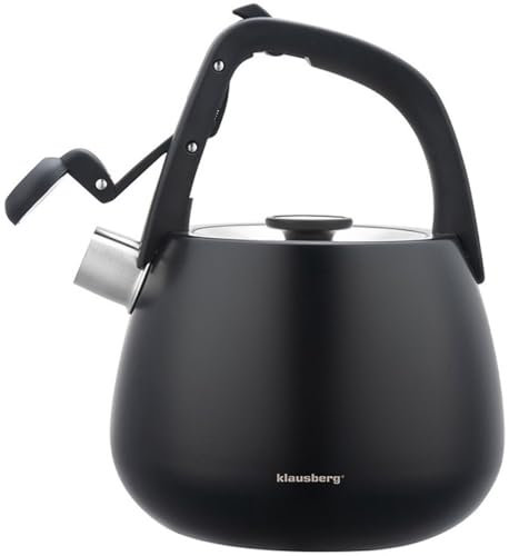 Stahl-Wasserkessel Flötenkessel Teekessel Kessel 2,5L Induktion (Schwarz)