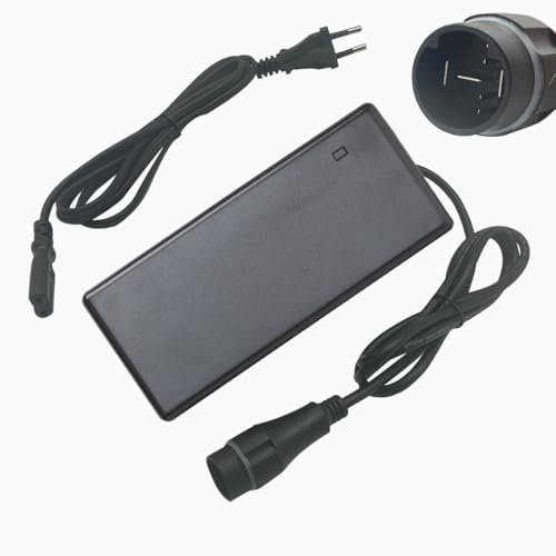 HANERIDE Caricatore per e-bike 36 V 4 A, sostituisce Yamaha per batteria Intube E-Bike 500 Wh PASC9 (X1R-10)